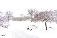 Campus Under Snow Winter 2022 P01012